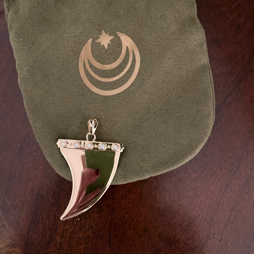 Elegant Gold and Black Horn Pendant Necklace - Picture 4 of 5